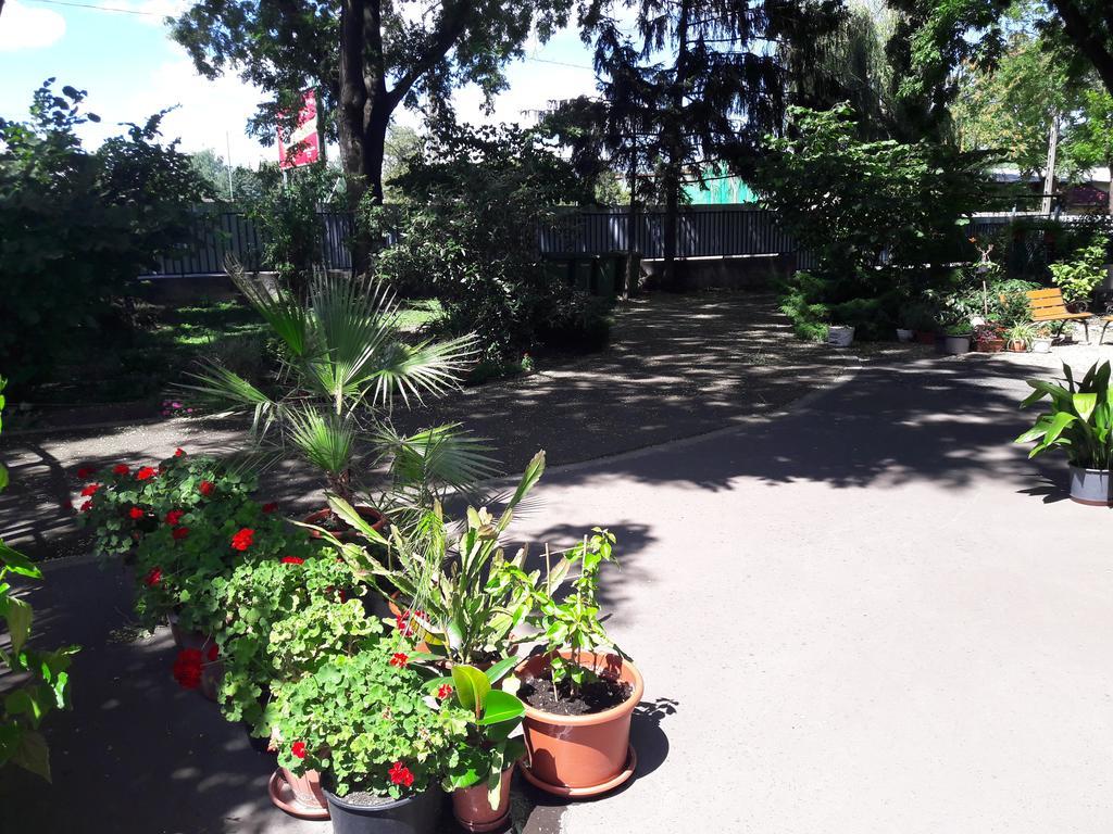 Orchidea Apartman Eger Eksteriør billede